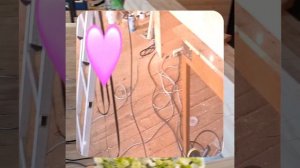 1000050889.mp4 (Собака наблюдает за устройством лестницы на 2-ой этаж в доме А-фрейм)