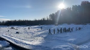 Запуск форели 08.03.26