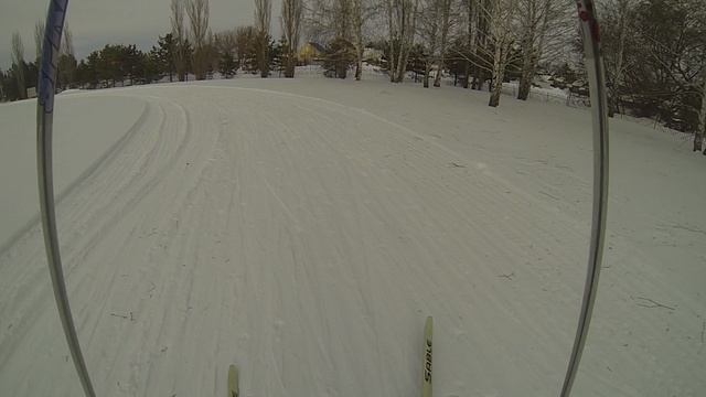 прогулка на лыжах