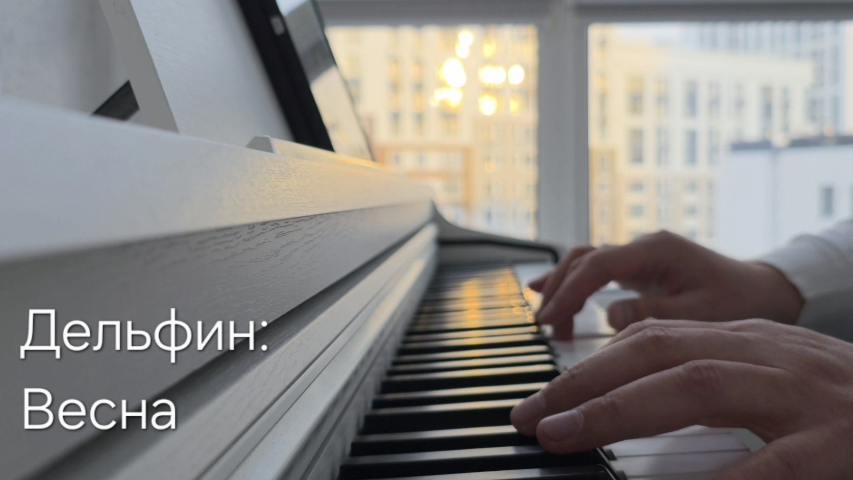 Дельфин: Весна 🎼 🎶