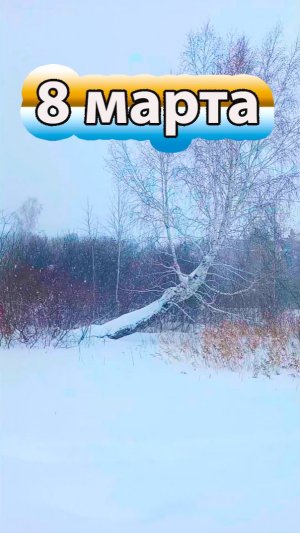 8 Марта Снежный вальс в Шарташском лесу