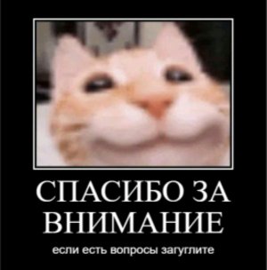 привет в 2026