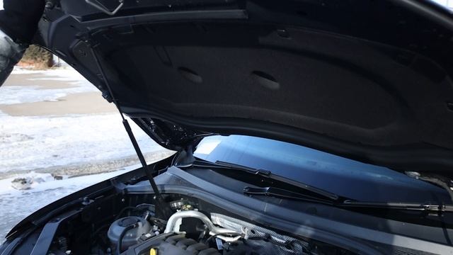 Немецкий характер: обзор Volkswagen Tiguan