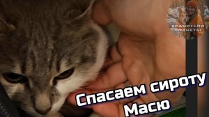 Спасаем осиротевшую Масю