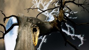 Уральская река Нейва