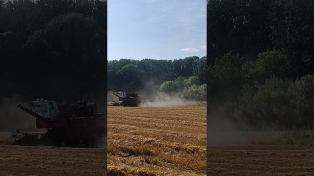 Уборочная 2025😎Неожинанно, правда? 😉