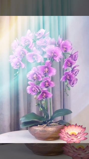 Дорогие женщины, с Международным женским днём!