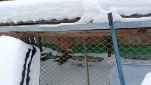 Не в праздниках счастье