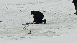 VID_20260308_124224_116