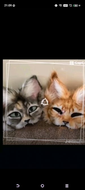 обучение квд