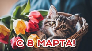 Подарок физикам от брокера к 8 марта 2020 года