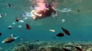 А я такая, я жду трамвая