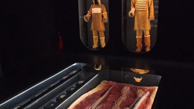 Владимир. Музейный центр «Палаты». Экспозиция «Сунгирь».