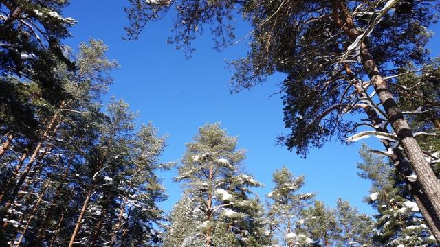 ФОТОПРАКТИКИ. СОЛНЕЧНАЯ РЕЧКА.