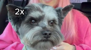 марафон вложиков №1 🐬