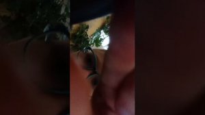 едим кислое и сладкое