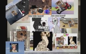 Больше 20 приколов с квшниками! С пажочком, арой, мной и синий звездой! Читать опис пж