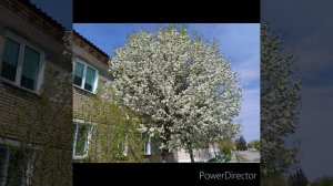 Проект_05-05_Full_HD_1080p_MEDIUM_FR30.mp4