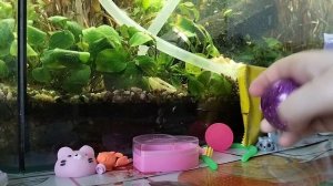 💜🐴С 8 МАРТА 🐴💜