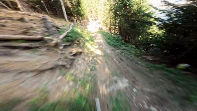 Прилив адреналина: вид от GoPro на безумной трассе Кубка мира по скоростному спуску в Шампери
