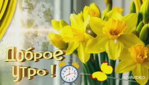 ДОБРОЕ УТРО. БУДЕТ УТРО ДОБРЫМ – БУДЕТ ДОБРЫМ ДЕНЬ