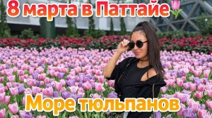 Не ожидали такого в Паттайе! 🌷 Сад тюльпанов к 8 Марта и очень красивое место Apinya Resort
