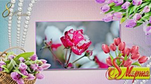 Поздравление С 8 Марта 1 от Киностудии Мудрого Кота Тимофея!