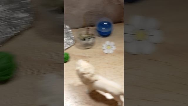 мини сериал