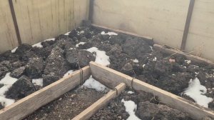 358. Редиска, Салат в теплице. Виноград на проращивании.