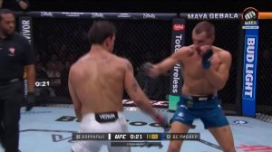 Кайо Борральо против Ренье де Риддера (видео). UFC 326