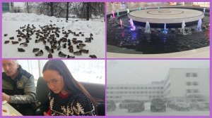 6,7,8-03-2026🌹 Влог🌹с праздником вас 💐💐💐