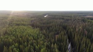 Выжившая в Якутской тайге