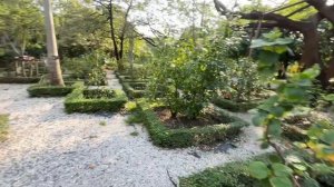 Ботанический сад королевы Сирикит , февраль, 2026 /Queen Sirikit Botanic Garden в Бангкоке (Таиланд)