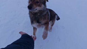 Унга и Тангаж.