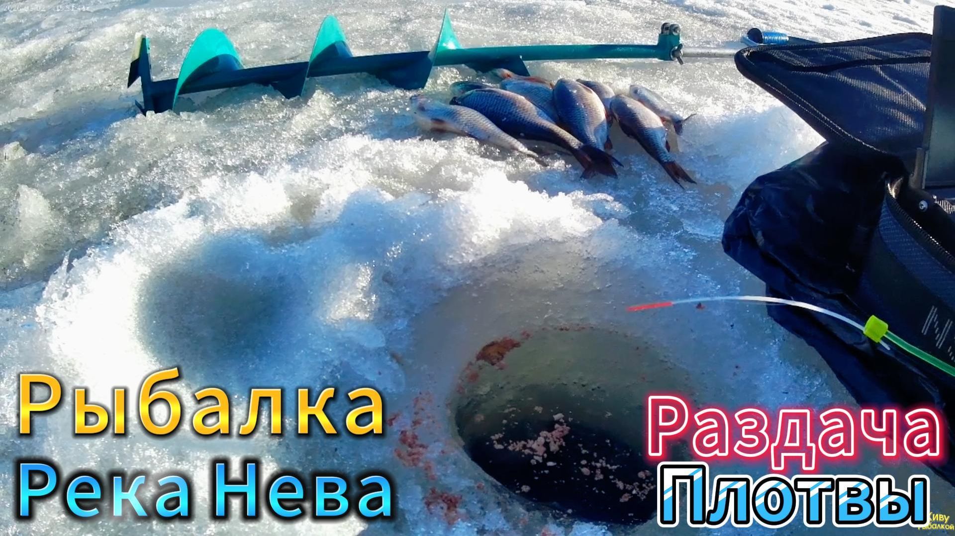 МАРТ РЫБАЛКА КЛЁВ ПЛОТВЫ ОКУНЯ РЕКА НЕВА