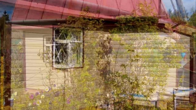 Обшивка дома САЙДИНГОМ  Как и чем ОБШИТЬ дачный ДОМ