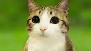 Играем после долгово перерыва на канале