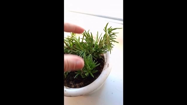 Распаковка,намазка для блинов. Обо всём и ни о чём.