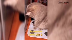 Доброе утречко! Желаю отличного настроения 👍#рекомендации