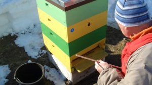 Чистка доньев от подмора.