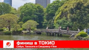 ЯПОНИЯ из окна поезда эп17: финиш в ТОКИО (Сибуя и Синдзюку)
