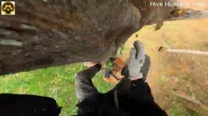 Преследуемые дикими пчелами.