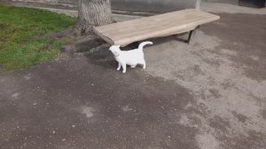 "Элитная" парковка для избранных до Первого штрафа. Ну, бывает....08.03.2026