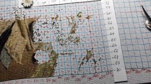 Многоцветная вышивка Организация Выделенной области Магическая Кухня