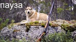 BULT:Hunting simulator-есть ли сегодня охотничий фарт?