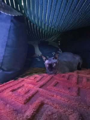 учимся рисовать!