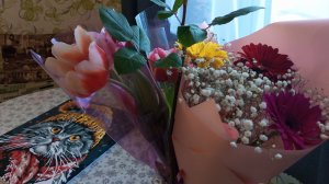 8 МАРТА. МОМЕНТЫ ДНЯ 🤗