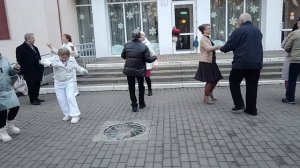 Ромашки..... 08.03.26 Гомель парк Луначарского 🥰💫