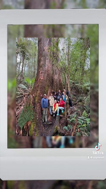 Австралия 🇦🇺- прекрасное место для путешествий и новых открытий!