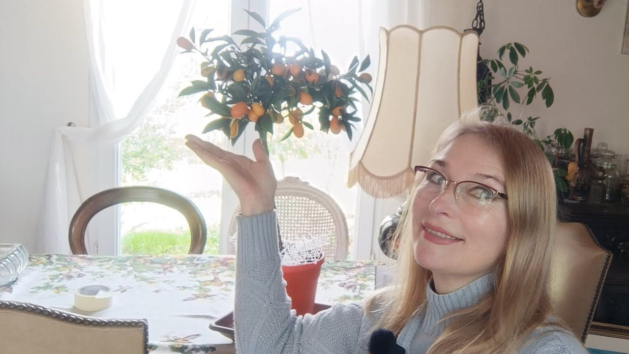 С наступающим!  Подарки уже! Франция и мы